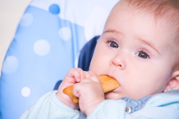 Bebê comendo biscoito