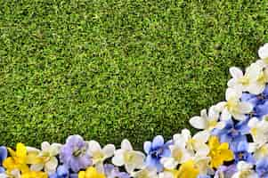 Foto grátis beira da flor primavera