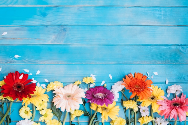 Foto grátis bela composição de flores coloridas