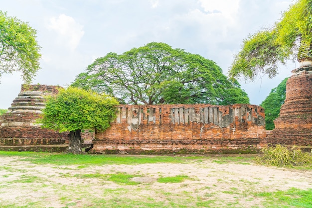 Bela e antiga arquitetura histórica de Ayutthaya na Tailândia