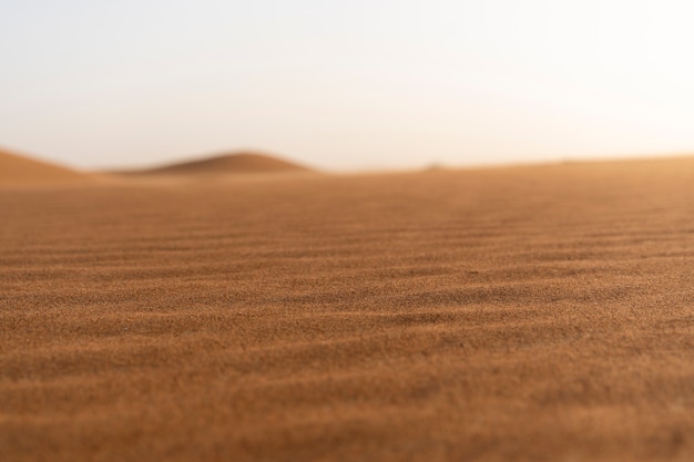 Bela e quente paisagem de deserto