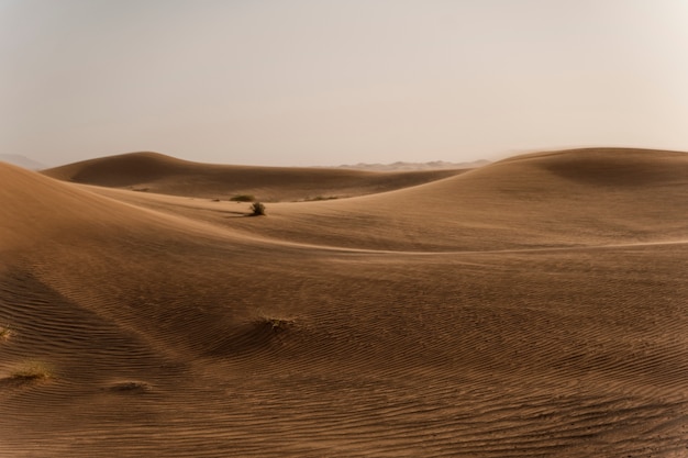 Bela e quente paisagem de deserto