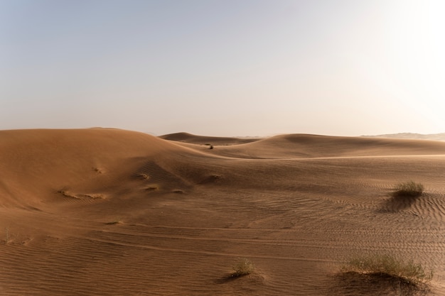 Bela e quente paisagem de deserto