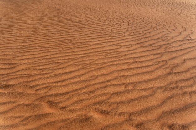 Bela e quente paisagem de deserto