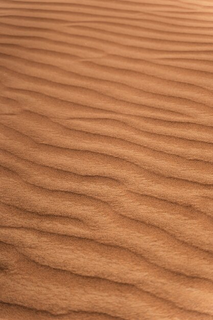 Bela e quente paisagem de deserto