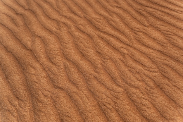 Foto grátis bela e quente paisagem de deserto