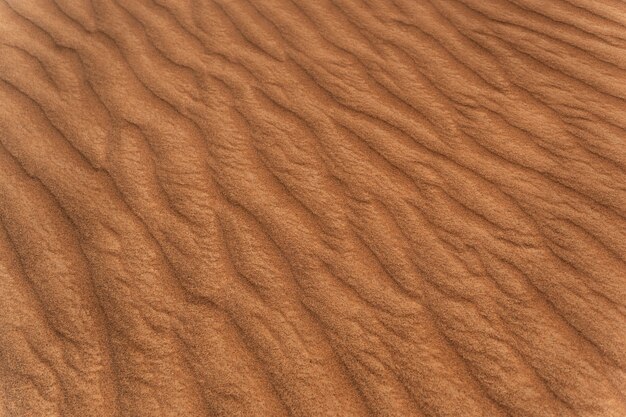 Bela e quente paisagem de deserto