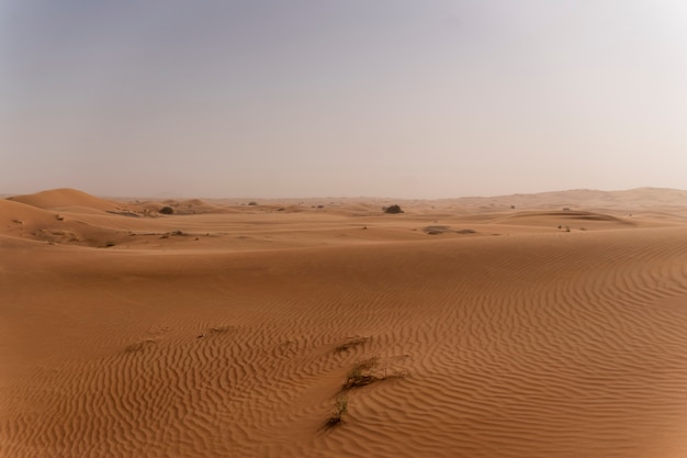 Bela e quente paisagem de deserto