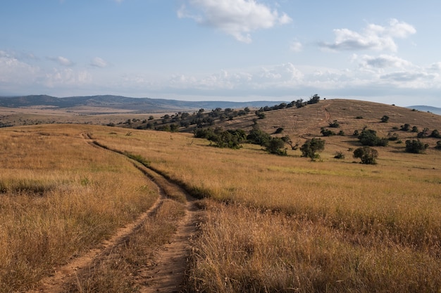 Foto grátis bela estrada passando pelos campos sob o céu azul no quênia