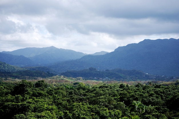 Bela floresta tropical exuberante e cordilheira em Porto Rico.