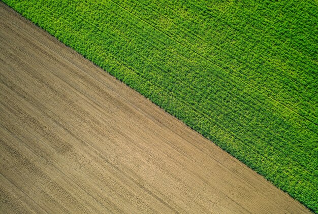 Bela foto aérea de um campo agrícola verde