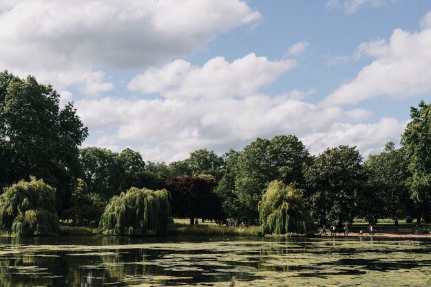 Bela foto ampla de árvores perto de um lago sob um céu azul claro com nuvens brancas