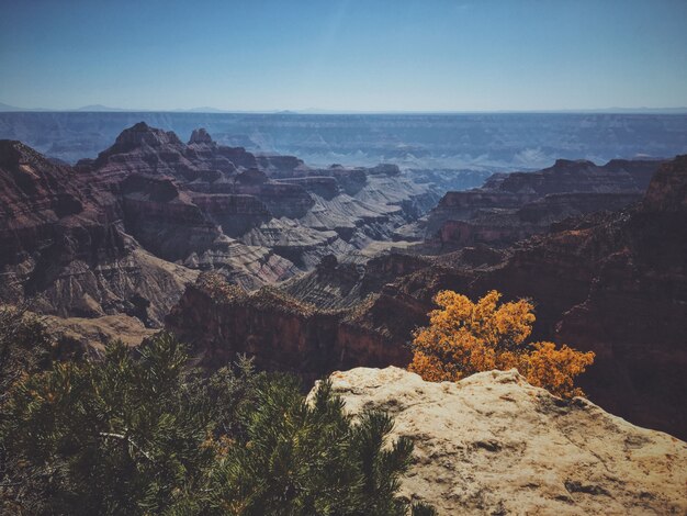 Bela foto da borda norte do Parque Nacional do Grand Canyon em um dia ensolarado