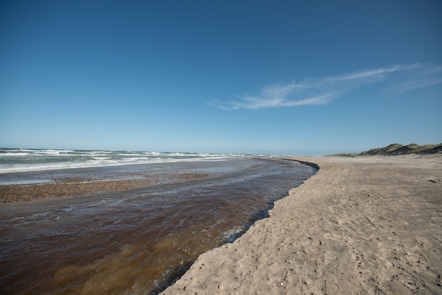 Bela foto da costa arenosa em um fundo de céu claro