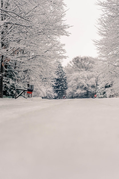 Bela foto da incrível paisagem da paisagem coberta de neve na Pensilvânia