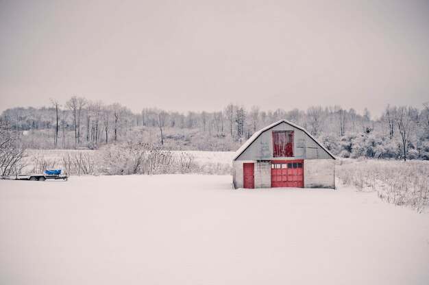 Bela foto da incrível paisagem da paisagem coberta de neve na Pensilvânia