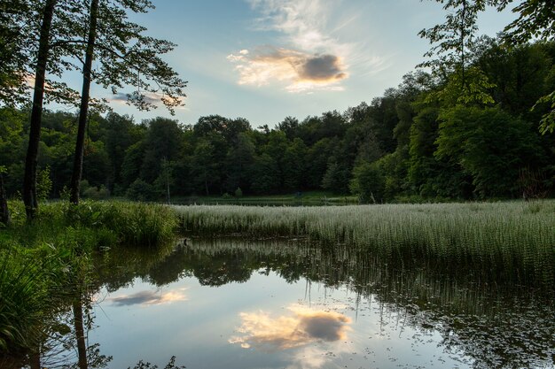 Bela foto de ângulo elevado da paisagem verde refletida no Lago Gosh, na Armênia