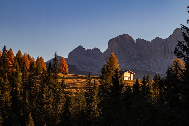 Bela foto de árvores verdes com uma casa e uma montanha à distância em dolomita na itália