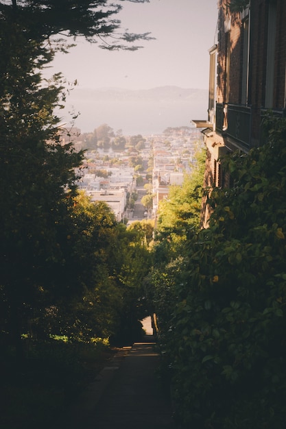 Bela foto de cenário verde na cidade de san francisco