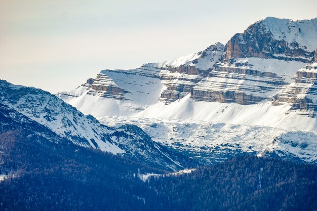 Bela foto de colinas arborizadas perto da montanha de neve em um dia ensolarado