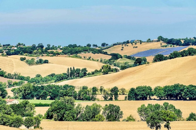 Bela foto de colinas de grama seca com árvores sob um céu azul em Umbria, Itália