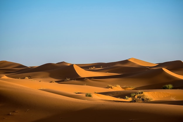 Bela foto de dunas de areia com arbustos e um céu claro