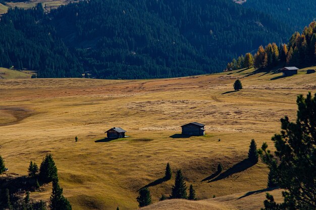 Bela foto de edifícios em uma colina gramada com uma montanha arborizada na dolomita na Itália