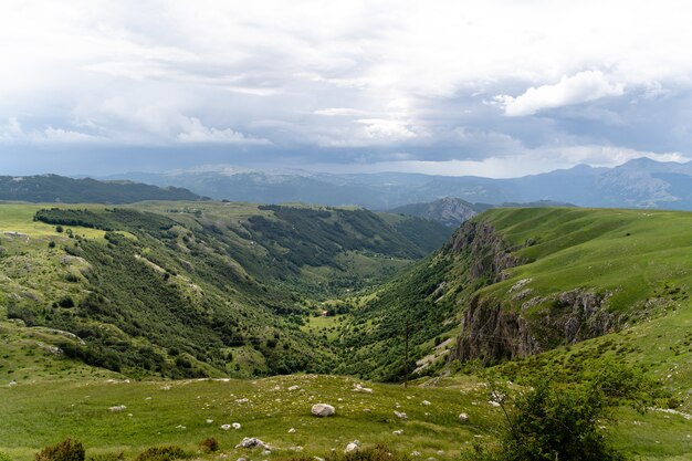 Bela foto de montanhas cobertas de árvores sob um céu claro