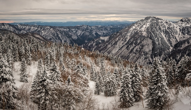 Bela foto de montanhas com florestas cobertas de neve no inverno