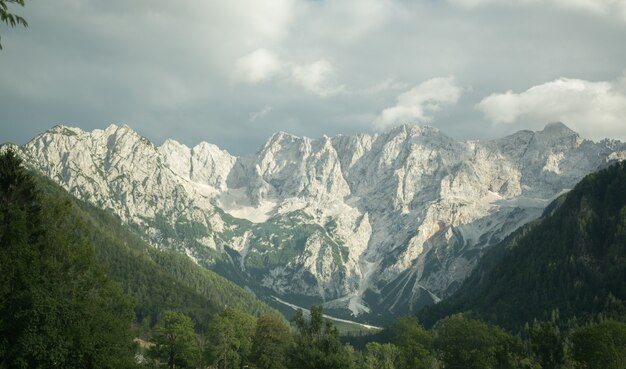 Bela foto de montanhas nevadas vistas através de abetos