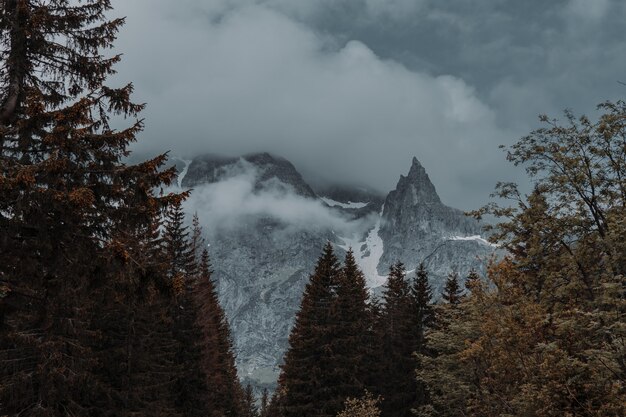 Bela foto de montanhas rochosas com nevoeiro