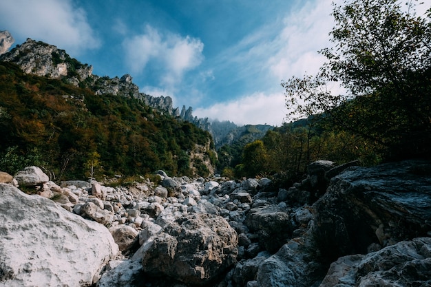 Bela foto de pedras no meio de árvores e montanhas ao longe