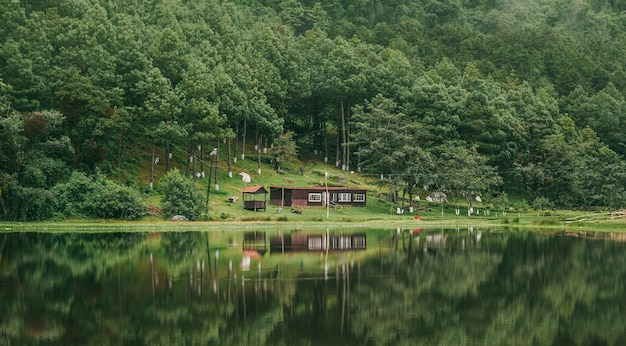 Bela foto de reflexos da floresta e da cabana na lagoa
