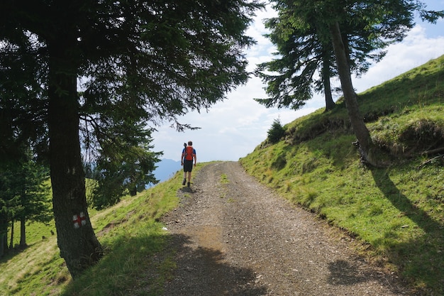 Bela foto de um alpinista com uma mochila de viagem vermelha, caminhando pelo caminho na floresta