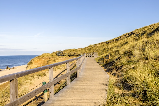 Bela foto de um caminho de madeira nas colinas na costa do oceano na ilha de Sylt na Alemanha