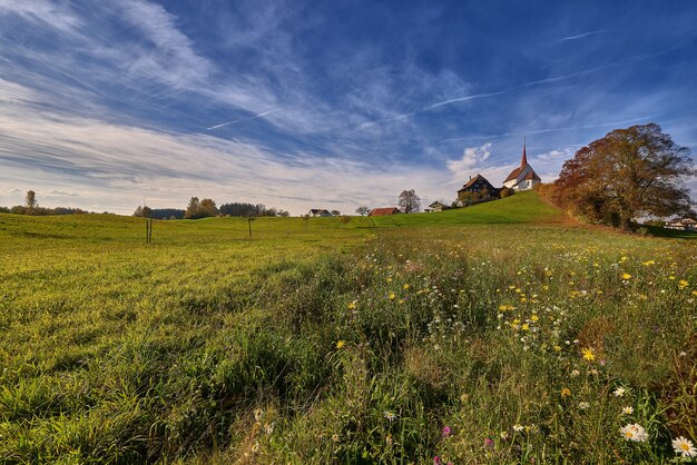 Bela foto de um campo gramado com edifícios à distância sob um céu azul durante o dia