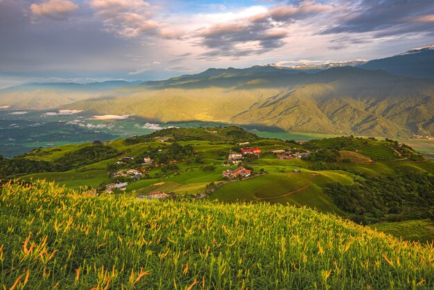 Bela foto de um campo verde com casas de aldeia ao fundo