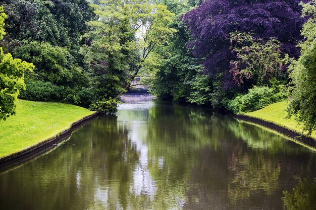 Bela foto de um canal com árvores refletidas na água