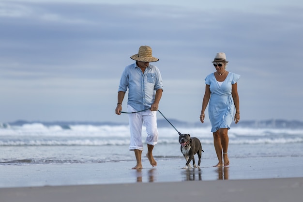 Bela foto de um casal na praia com um cachorro Stafford inglês azul