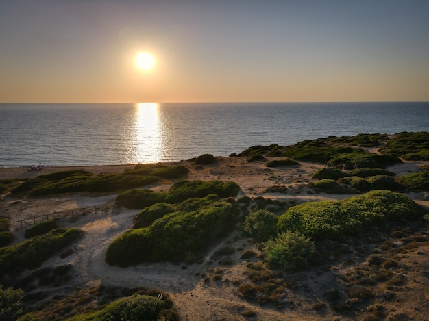 Bela foto de um cenário do pôr do sol com vegetação à beira-mar