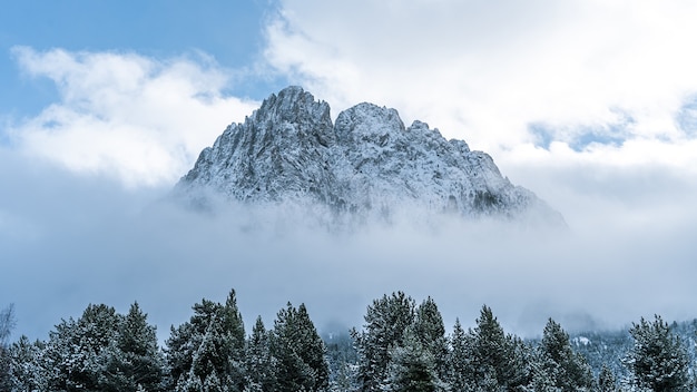 Bela foto de um dia enevoado em uma floresta de inverno perto de uma montanha