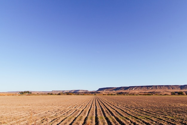 Bela foto de um grande campo agrícola com incrível céu azul claro