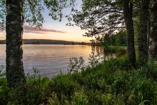 Bela foto de um lago cercado por árvores ao pôr do sol