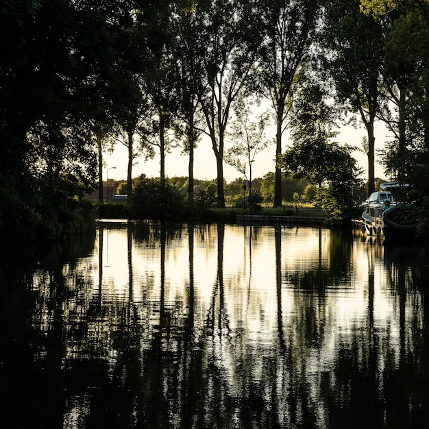 Bela foto de um lago com um barco e cercado por árvores verdes