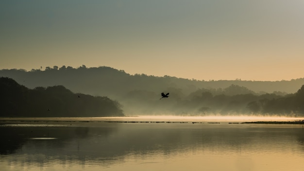 Bela foto de um pássaro voando sobre a água do lago cercado por montanhas e árvores