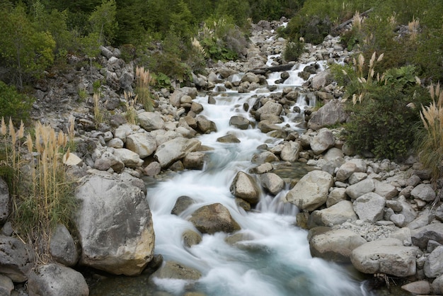 Bela foto de um riacho por entre as rochas e árvores da floresta