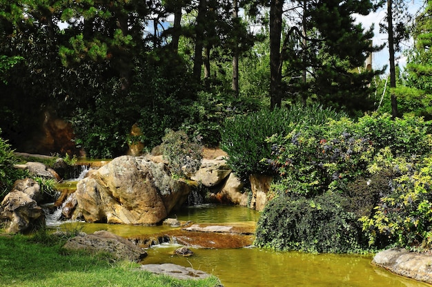 Bela foto de um rio de montanha rochosa cercado por plantas e árvores à luz do dia