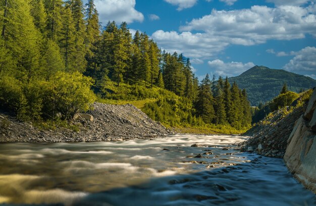 Bela foto de um rio tranquilo cercado de abetos