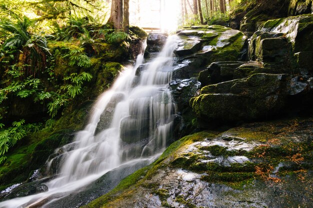 Bela foto de uma cachoeira cercada por rochas cobertas de musgo e plantas na floresta
