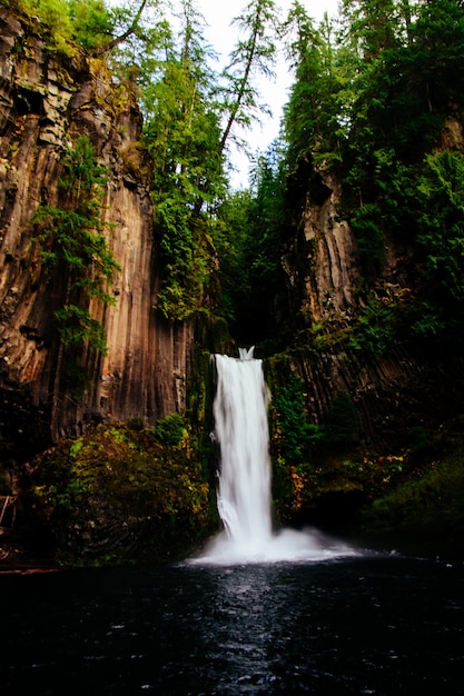 Bela foto de uma cachoeira na floresta cercada por árvores altas
